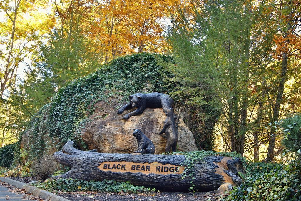 Rising Eagle Lodge - Eight Bedroom Pigeon Forge Luaran gambar
